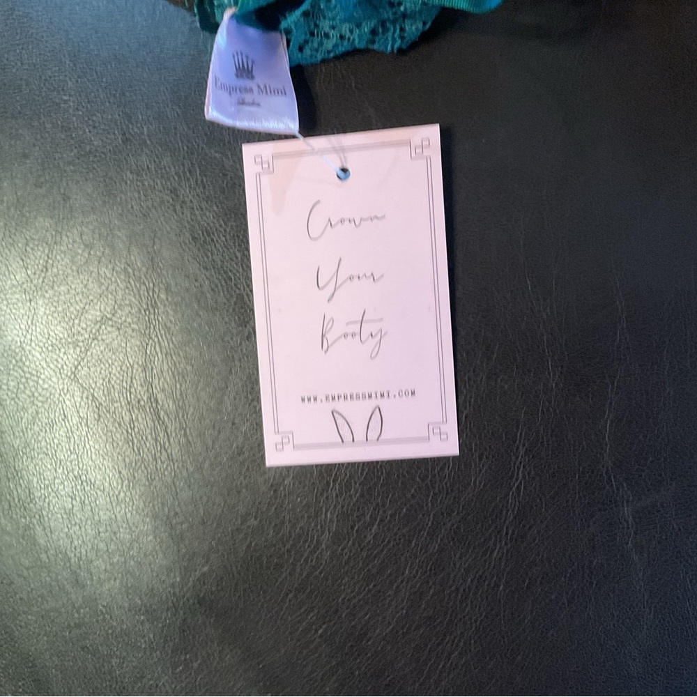 Empress Mimi Elegant Venus Brazilian Lace Teal Panties-NWT - Picture 2 of 4